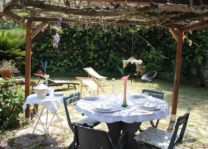 Anita * Λεβάντο